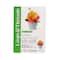 Spring Advanced Potted Flower Felting Kit by Loops & Threads®